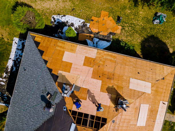 Best Metal Roofing Contractor  in Welsh, LA